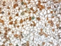 The surface of terrazzo.abstract background Royalty Free Stock Photo