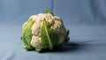 Surface texture of the cauliflower is bumpy characteristic of its tightly Royalty Free Stock Photo