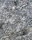 texture of the polished magnesite tile surface Royalty Free Stock Photo