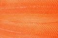 Surface Texture of Salmon Fillet