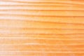 Surface texture of Shera cement wall wood Royalty Free Stock Photo