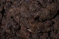 Surface texture of wet garden black soil. Mud and dirt background Royalty Free Stock Photo