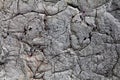 Surface texture with white paint and cracks on concrete wall with strong surface structure. For abstract backgrounds