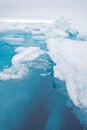 Surface and Underwater Views of Pack Ice Icebergs