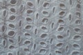 Surface of white eyelet embroidery cotton fabric