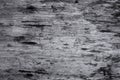 The surface of the walls of monochrome wooden boards for the background. Royalty Free Stock Photo