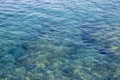 The Surface of the Water of a Clear Blue Ocean on a Fabulous Tropical Shore. Wave on the Surface of the Ocean