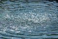 on the surface of the water diverging circles from falling water, jets and splashes, a lot of drops Royalty Free Stock Photo