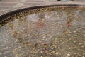 The surface of the water in the fountain, covered with fallen leaves and dry needles, reflection of the Ferris wheel, autumn Royalty Free Stock Photo