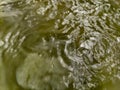 Surface of water ripple rian dorp HD Royalty Free Stock Photo