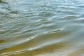 Surface of water Royalty Free Stock Photo