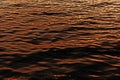 Surface of water with waves background texture, wave close up, light playing on the sea surface, the surface of golden water at Royalty Free Stock Photo