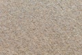 Surface of wet quartz sand. The background image texture. Royalty Free Stock Photo