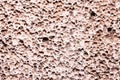 Surface of white pumice. pumice white sponge texture for body wash