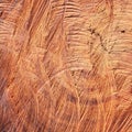 Surface wood log texture background Royalty Free Stock Photo