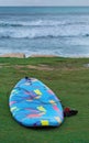 Surfboard on the background of the sea Royalty Free Stock Photo