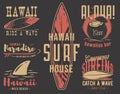 Surfboard for hawaii surf, shark surfing paradise