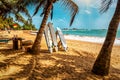 Surfboard and palm tree on the beach, surfing area. Travel adventure and water sport Royalty Free Stock Photo