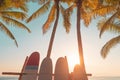 Surfboard and palm tree on tropical sunset beach abstract background Royalty Free Stock Photo