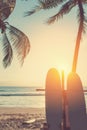 Surfboard and palm tree on tropical sunset beach with sun light abstract background. Summer vacation and sport extreme concept Royalty Free Stock Photo