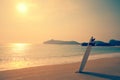 Surfboard on the wild beach Royalty Free Stock Photo