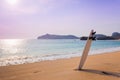 Surfboard on the wild beach