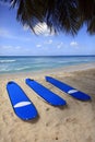 Surfboards at beach