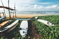 Surfboards are on the beach at erly morning time on the surf poi Royalty Free Stock Photo