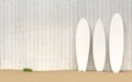 Surfboards beach illustration