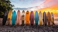 surfboards lined up on a beach at sunset, evoking a laid-back, Royalty Free Stock Photo