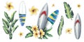 Surfboards with shark and striped print with frangipani flowers and tropical leaves. Watercolor illustration hand drawn Royalty Free Stock Photo