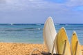 Surfboards standing on a rack waiting for surfers in Waikiki Beach in Oahu, Hawaii Royalty Free Stock Photo