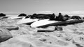 Surfboards and wetsuits lie on the sand Royalty Free Stock Photo