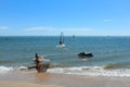 Surfer at beach - group of windsurfer on ocean