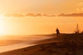 Surfer on the beach running during the sunset Royalty Free Stock Photo