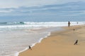 Surfer on the beach, sunny day Arugam Bay, Sri Lanka Royalty Free Stock Photo