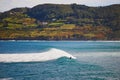 Surfer catching wave in Mundaka, Basque Country, Spain