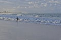 Surfer enjoying waves. Royalty Free Stock Photo