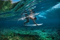 Surfer dives Royalty Free Stock Photo