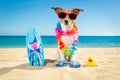 Surfer dog beach Royalty Free Stock Photo