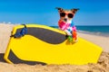 Surfer dog