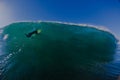 Surfer Dolphins Submerge Wave