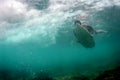 Surfer Duckdiving