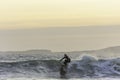 Surfer enjoying evening surf in rough sea at sunset