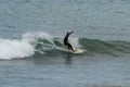 Surfer enjoying a surf session in the Atlantic Royalty Free Stock Photo