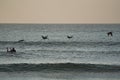 Surfer Enjoying the view of Passing Pelicans Royalty Free Stock Photo