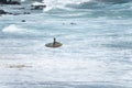 Surfer entering the sea to surf at Farol da Barra beach in the Brazilian city of Salvador Royalty Free Stock Photo