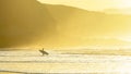 Surfer entering water at sunset Royalty Free Stock Photo