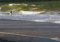 Surfer enters into an ocean