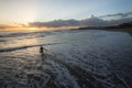 Surfer Enters Ocean Sunrise Royalty Free Stock Photo